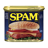 Spam  Canned Meat Full-Size Picture